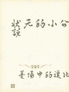 状元的小公主小说封面