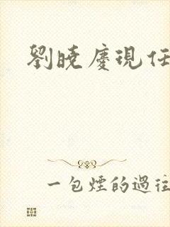 刘晓庆现任丈夫