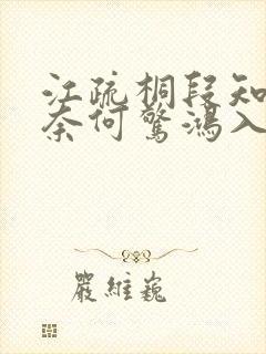 江疏桐段知许《奈何惊鸿入我心》