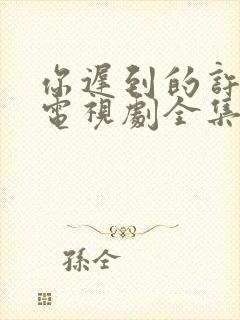 你迟到的许多年电视剧全集免费播放
