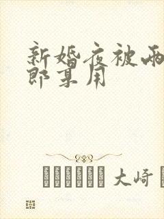 新婚夜被两个伴郎享用封面
