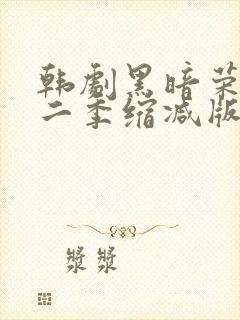 韩剧黑暗荣耀第二季缩减版封面