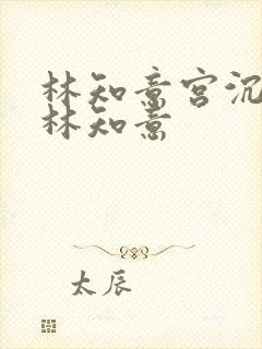 林知意宫沉宫沉林知意