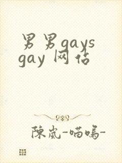 男男gays gay 网站