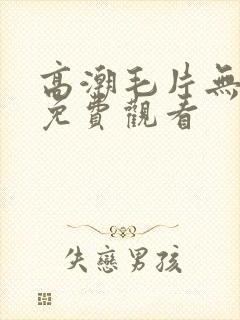 高潮毛片无遮挡免费观看封面