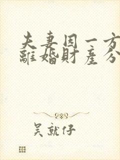 夫妻因一方出轨离婚财产分割