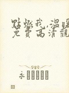点燃我,温暖你免费高清观看