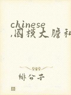chinese,国模大胆私拍视频封面