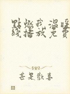 点燃我温暖你在线播放免费观看全集