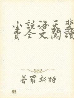 小说洛天裴容免费全文阅读封面