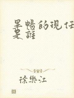 毕畅的现任丈夫是谁封面