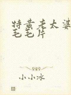 特黄老太婆aa毛毛片
