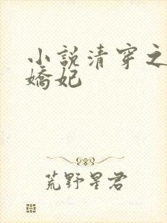 小说清穿之太子娇妃