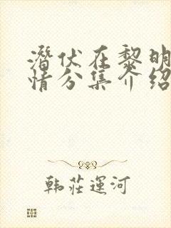 潜伏在黎明前剧情分集介绍