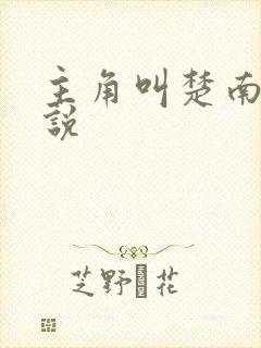 主角叫楚南的小说