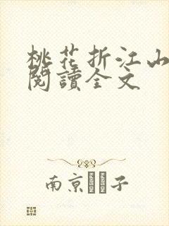 桃花折江山在线阅读全文封面