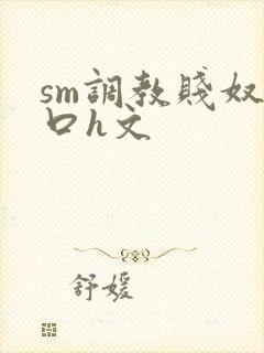 sm调教贱奴重口h文封面
