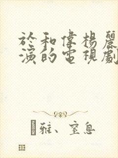 于和伟杨丽坤主演的电视剧有哪些