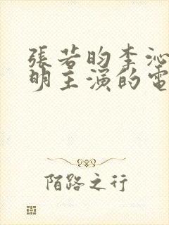 张若昀李沁陈道明主演的电视剧