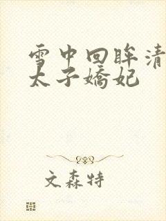 雪中回眸清穿之太子娇妃