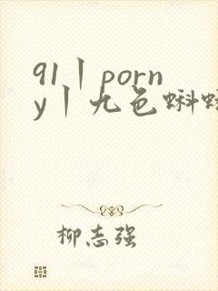 91丨porny丨九色蝌蚪