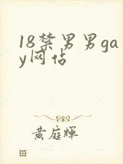18禁男男gay网站