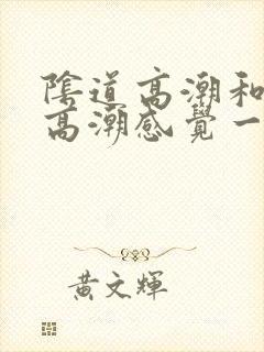 阴道高潮和阴蒂高潮感觉一样吗