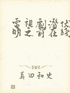 电视剧潜伏在黎明之前在线播放封面