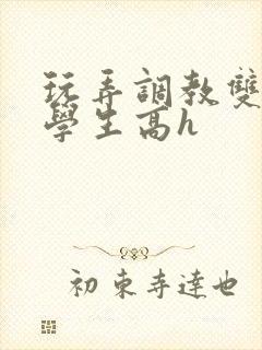玩弄调教双胞胎学生高h