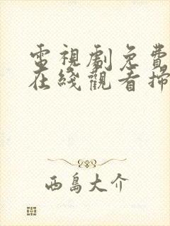 电视剧免费全集在线观看扫黑风暴