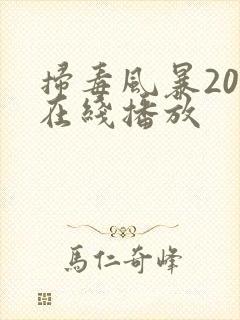 扫毒风暴20集在线播放封面