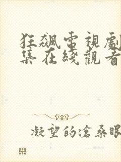 狂飙电视剧40集在线观看免