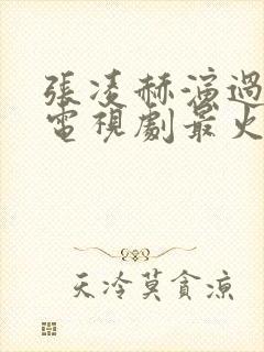 张凌赫演过什么电视剧最火