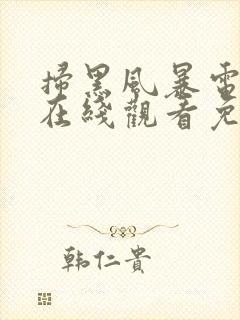 扫黑风暴电视剧在线观看免费全集