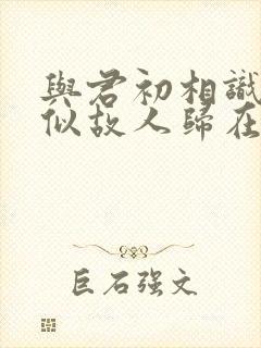 与君初相识·恰似故人归在线看