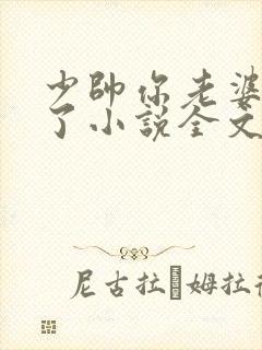 少帅你老婆又跑了小说全文免费阅读