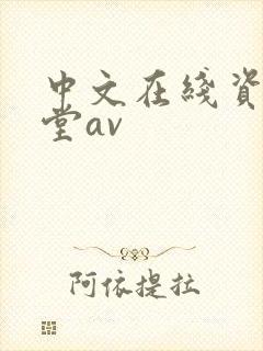 中文在线资源天堂av