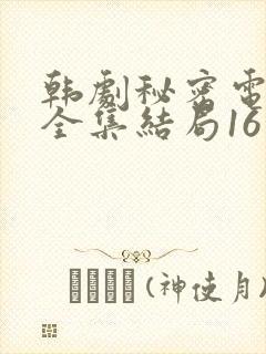 韩剧秘密电视剧全集结局16集免费