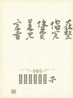 完美伴侣在线观看免费完整版