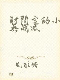 财阀家的小儿子无删减