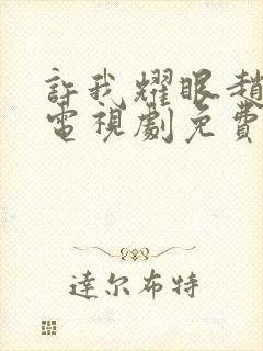 许我耀眼赵露思电视剧免费观看全集在线播放封面