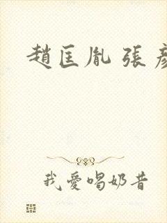 赵匡胤 张彦泽