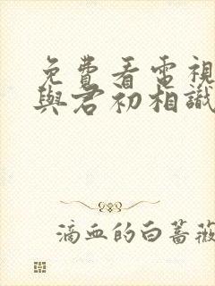 免费看电视剧《与君初相识》