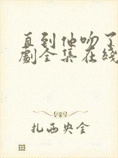 直到他吻了我美剧全集在线观看封面