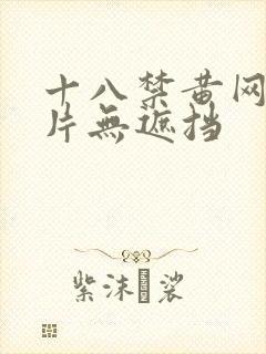 十八禁黄网站禁片无遮挡