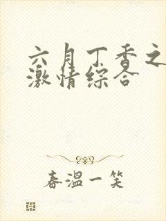 六月丁香之婷婷激情综合封面
