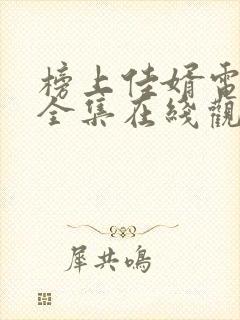 榜上佳婿电视剧全集在线观看完整版高清