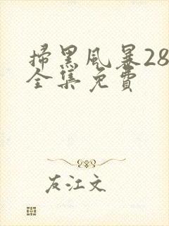 扫黑风暴28集全集免费