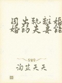 因出轨离婚后复婚的夫妻能幸福吗