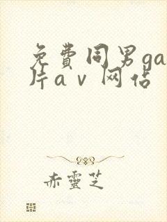 免费同男gay片aⅴ网站封面